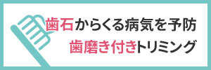 歯石からくる病気を予防歯磨き付きトリミング