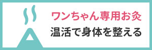 ワンちゃん専用お灸温活で身体を整える