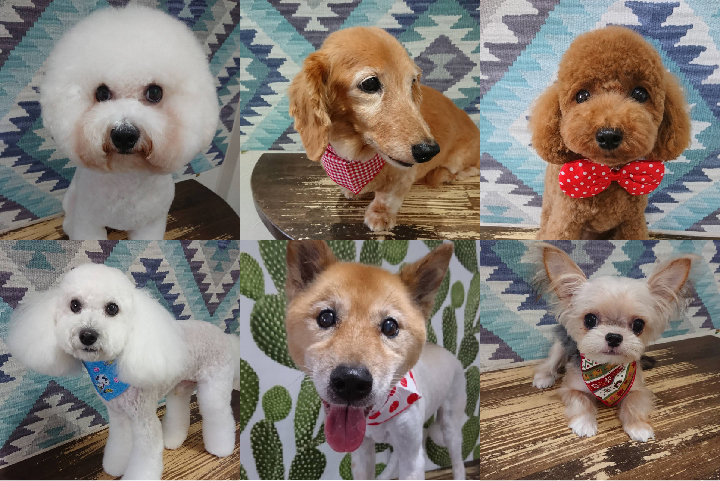 インスタグラム