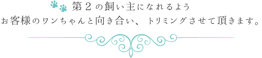 皆様の大切なワンちゃんが、いつまでも綺麗で長生きできるようにお手伝いを!